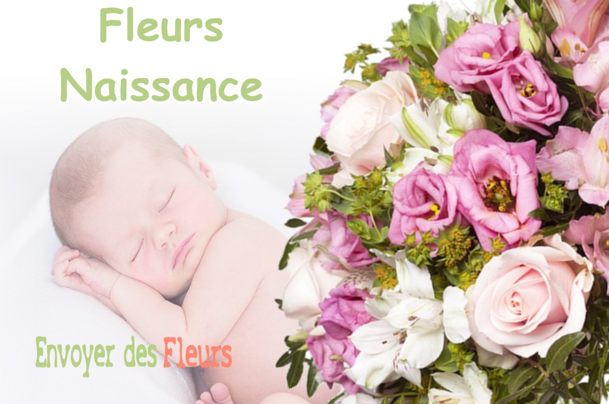 lIVRAISON FLEURS NAISSANCE à HERM